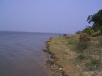1585R0015242_small.jpg