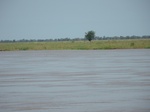 28749fogarty cameroon 004.jpg