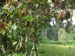 48477CIMG4814.JPG