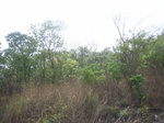4019RIMG0323.JPG