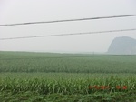 33141CIMG2377.JPG