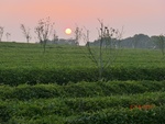39063CIMG4387.JPG