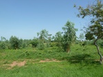 19463P1010310.JPG