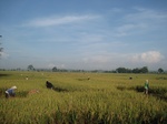 15958IMG_4509.JPG