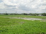 21357DSC00628.JPG