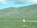 24242P1050682.JPG