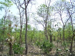 1788027042008(16).JPG