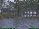 1358R0015128_tag.jpg