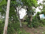 29583IMG_5150.JPG