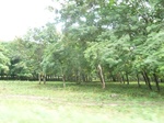 20397P1020254.JPG