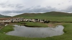 34118CIMG2327.JPG