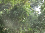 48501CIMG4838.JPG