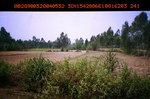 40442ANH576.JPG