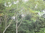 48782CIMG5119.JPG