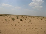 36735CIMG0504.JPG