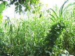 13976IMG_4273.JPG