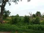 18388P1000224.JPG