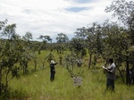 12078GT020_Fallow.JPG
