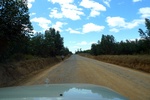 28406P1010417-1.JPG