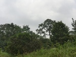 47909CIMG4246.JPG
