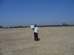 10170012-irrri-wheat-sw-1b.jpg