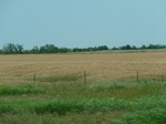 21460P1010105.JPG
