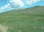24249P1050690.JPG