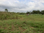 2012-08-31_10-24-38_CIMG0086.JPG