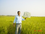 11367gt150-cropland-1.jpg