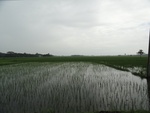 22098DSC00339.JPG