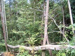 542164.jpg