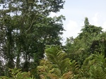 49519CIMG5856.JPG