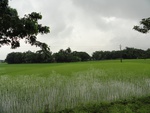22080DSC00315.JPG