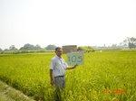 11301gt105-cropland-1.jpg
