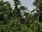 49564CIMG5901.JPG