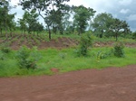 20967P1020834.JPG