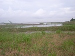 34715RIMG0876.JPG