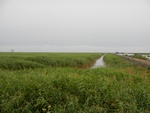 54339DSCN1613.JPG