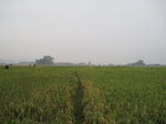 13434IMG_3814.JPG