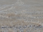 35008DSC01910.JPG