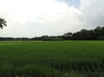 24583DSC00800.JPG