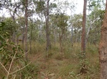 2012-08-28_20-34-45_P1010131.jpg