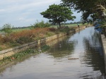 14387IMG_4729.JPG