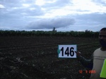 125370146b-irrigated-supplemental-groundwater-plantation-banana-dominant-sapota-millet.gif