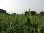 50314CIMG0943.JPG