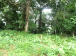 20665P1020522.JPG