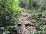46771DSC02109.JPG