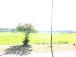 30222CIMG1756.JPG