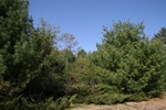 179IMG_4075.JPG