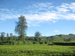 15068IMG_3887.JPG
